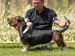 Black Panther štěmarali