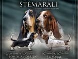 Beauty Bella Štěmarali